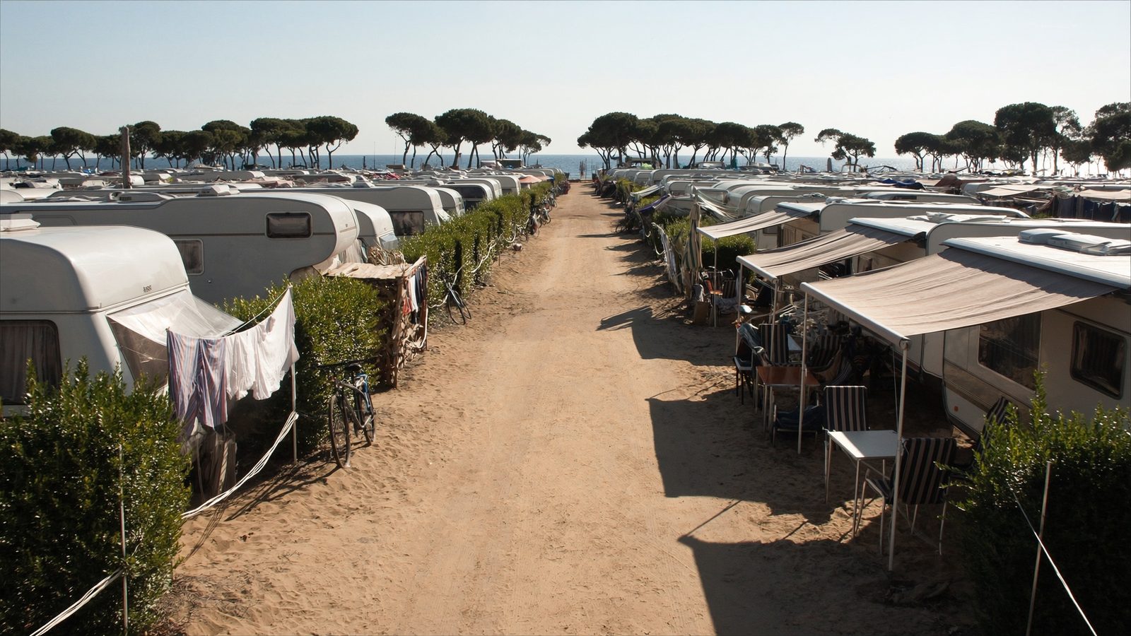 Viale di un campeggio in alta stagione con tutte le piazzole occupate